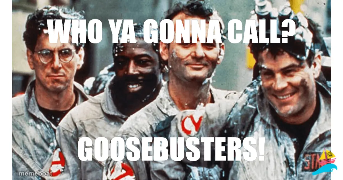 Who ya gonna call?