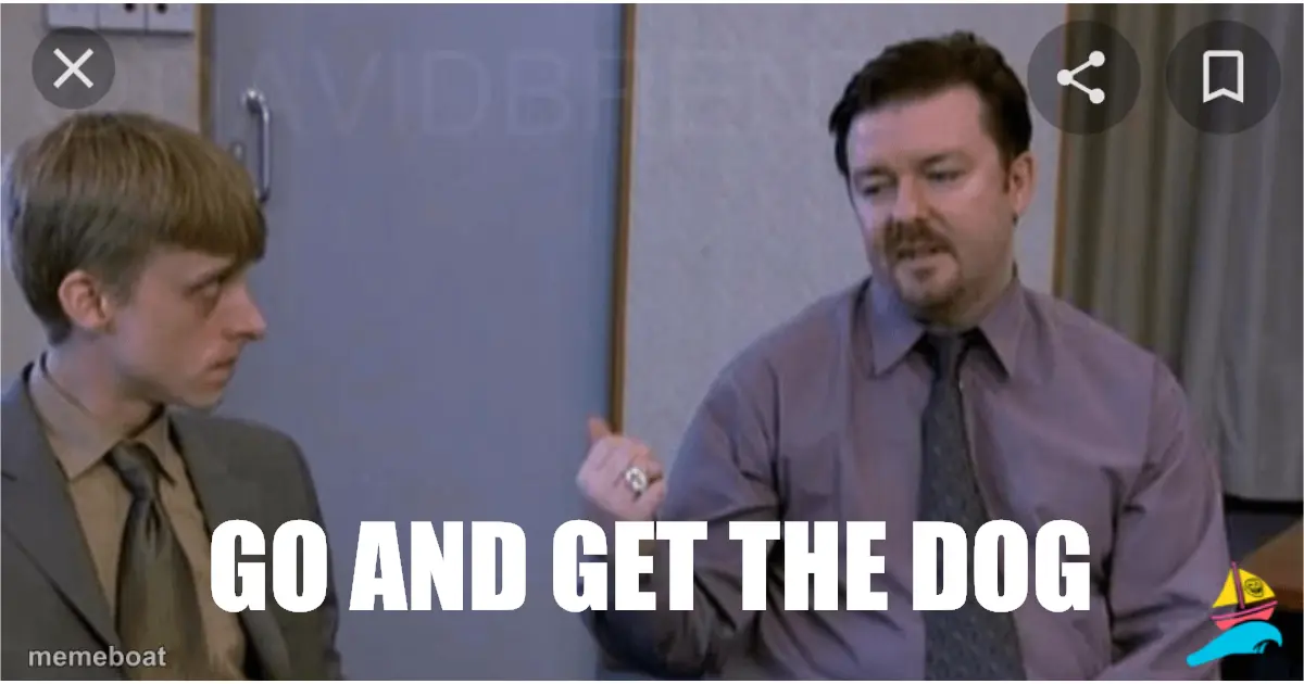 GO AND GET THE DOG