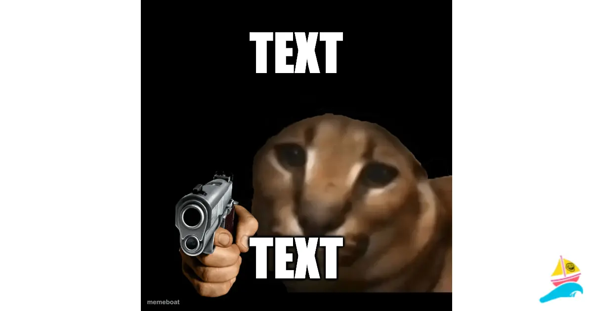 TEXT