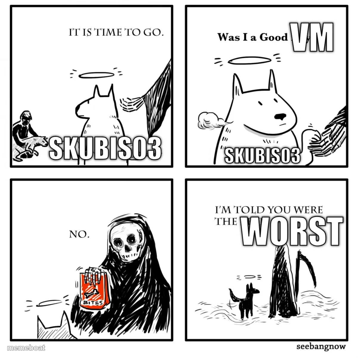 VM