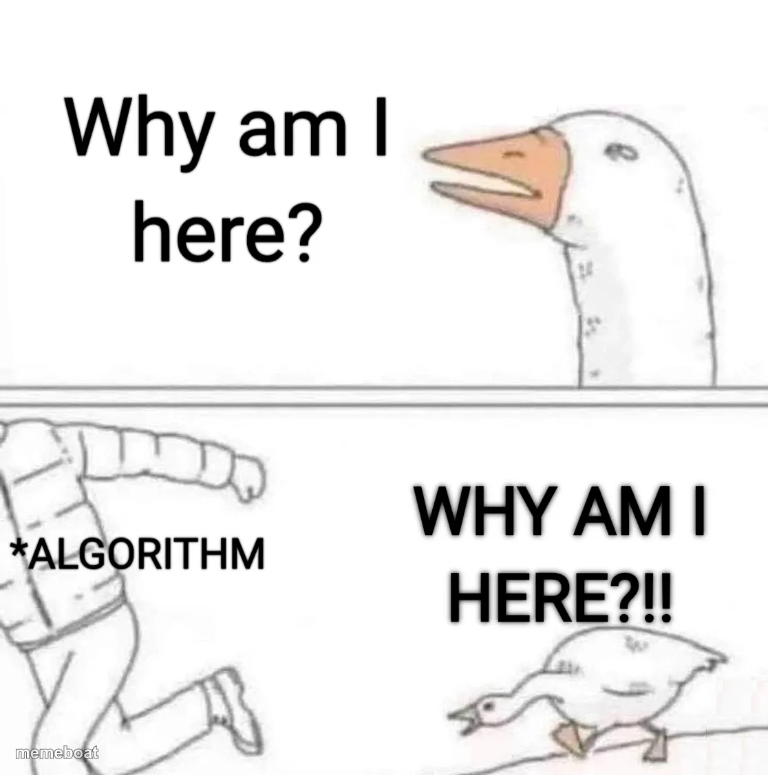 Goose Chase meme created by the community