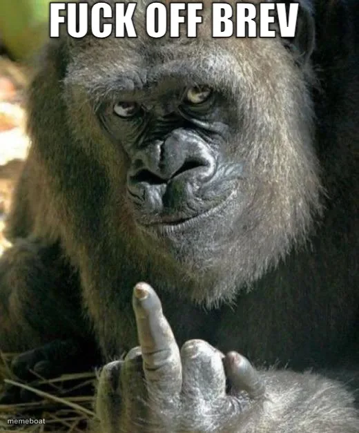 gorilla middle finger meme created by the community