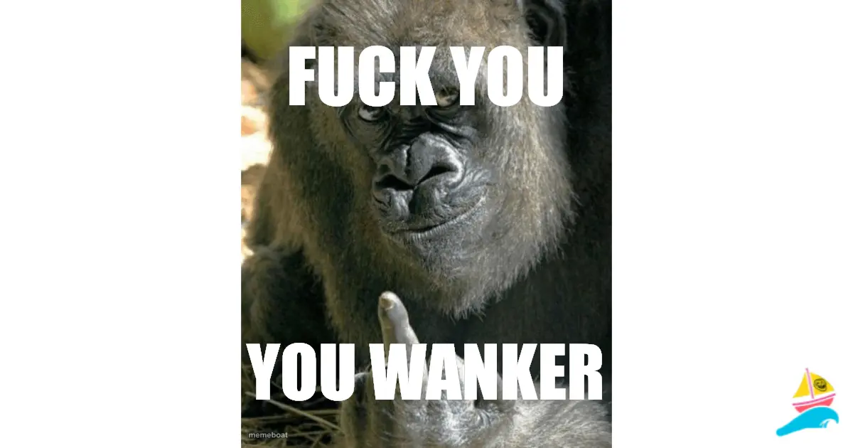 fuck you