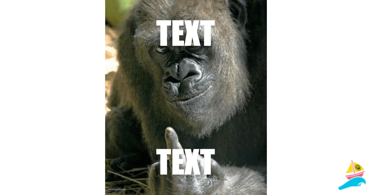 TEXT