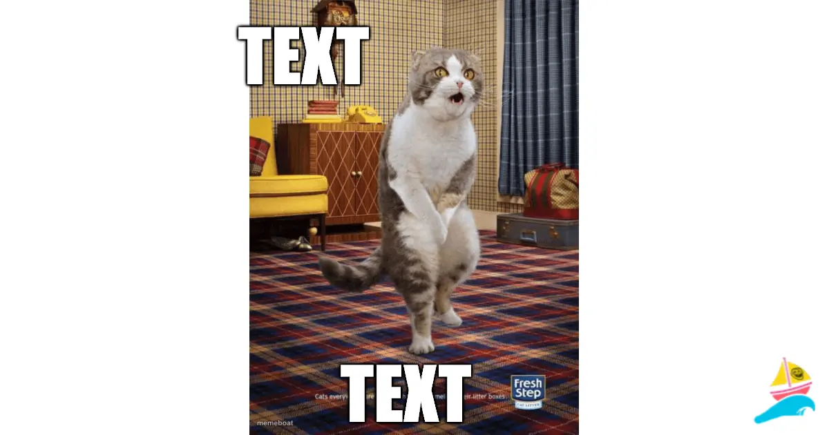 TEXT