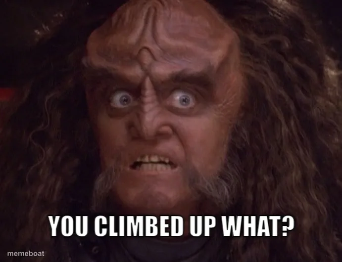 GOWRON meme created by the community
