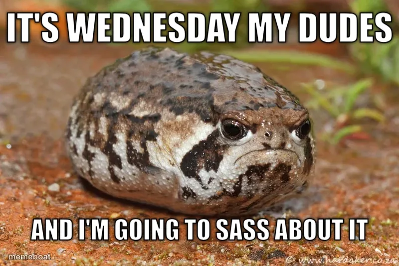 Grumpy Desert Rain Frog meme created by the community