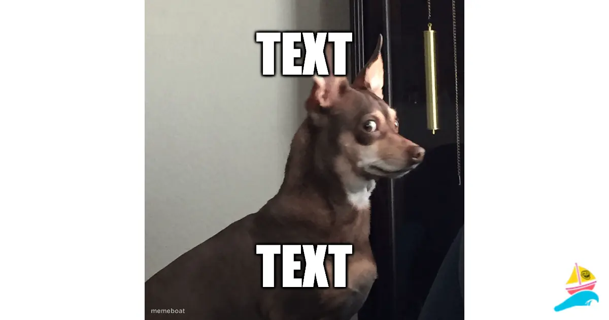 TEXT