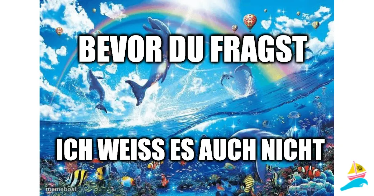 Bevor du fragst