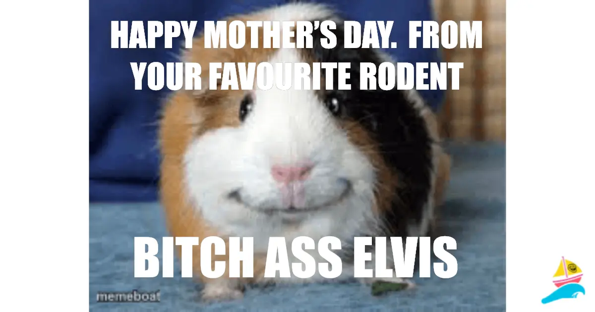 Happy Mother’s Day. From your favourite rodent