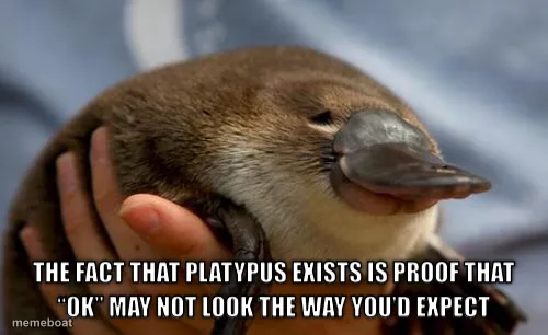 The fact that platypus exists is proof that “ok” may not lo…