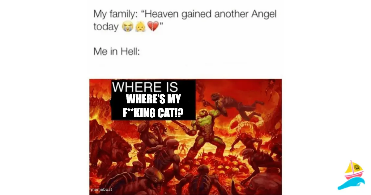 Where’s my f**king cat!?