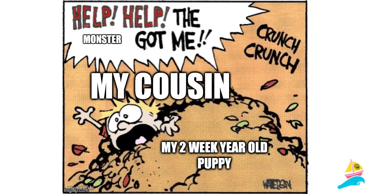 MONSTER