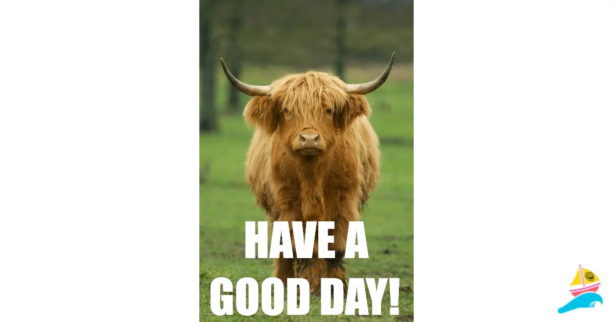 Have a good day!