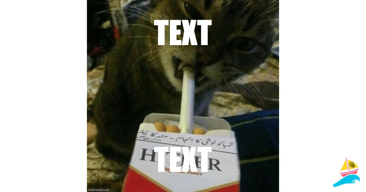 TEXT