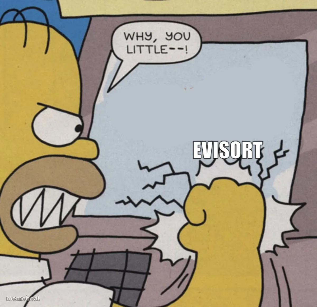 EVISORT