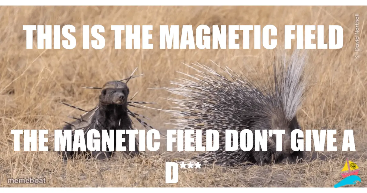 This is the magnetic field