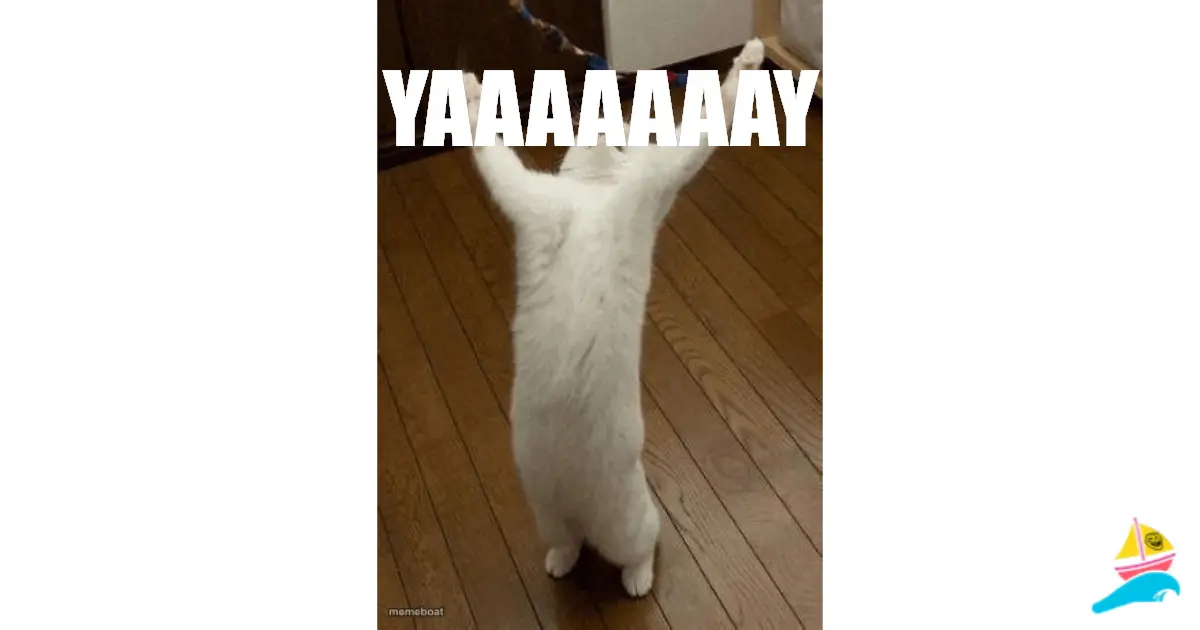 yaaaaaaay