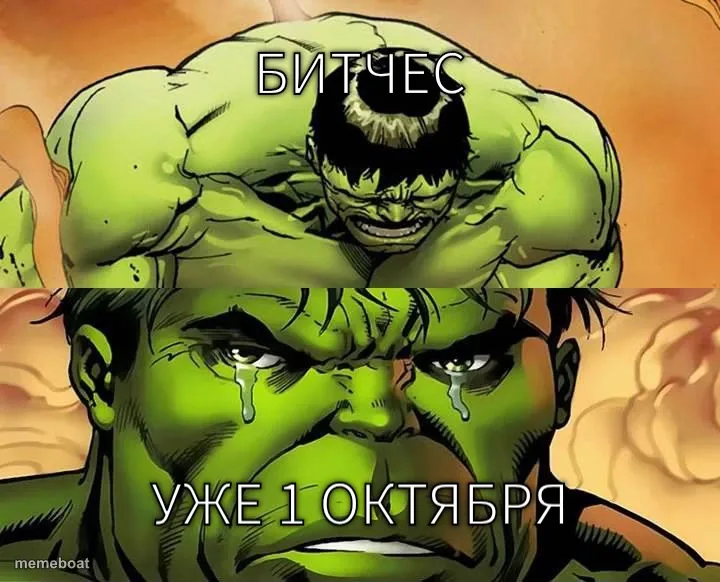Битчес