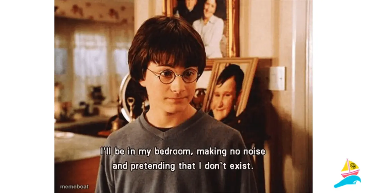 i'll be in my room meme