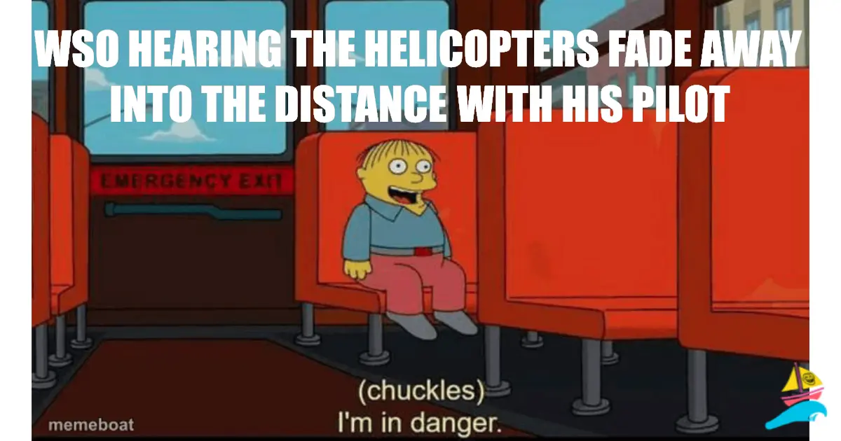 WSO HEARING THE HELICOPTERS FADE AWAY into the distance WIT…