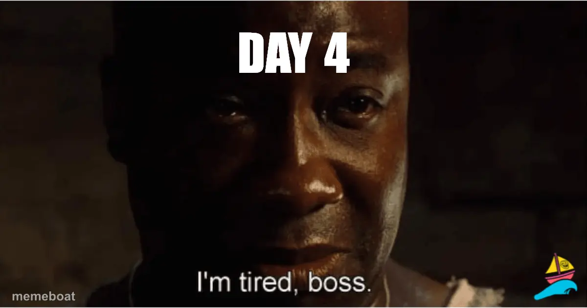 Day 4