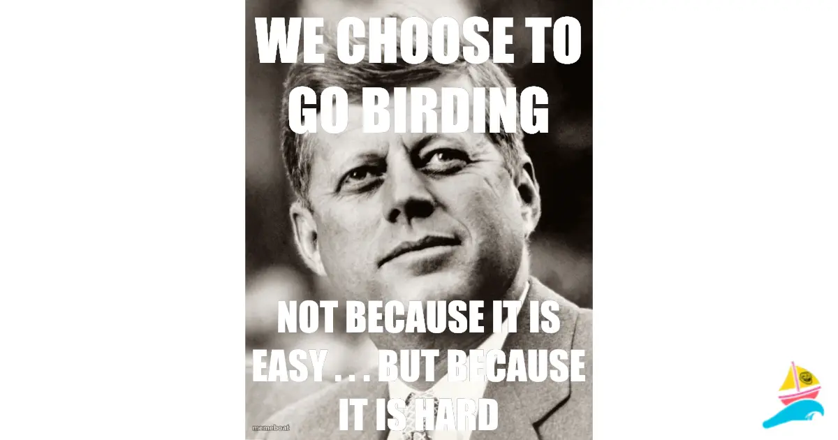 We choose to go birding