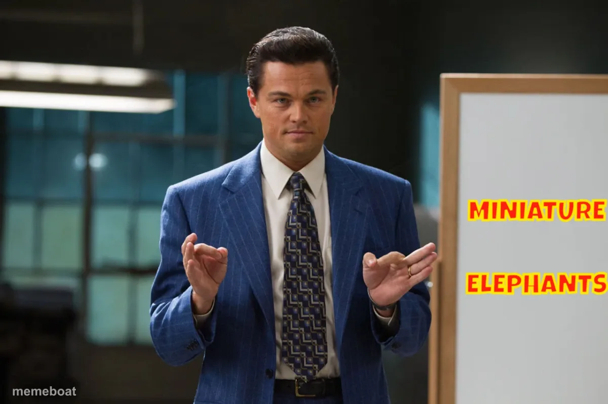 Miniature Elephants