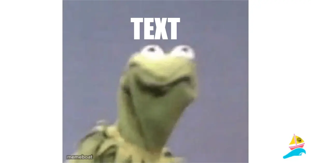 TEXT