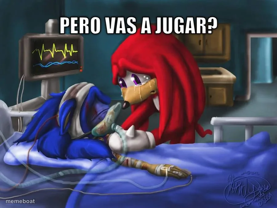 Knuckles Comforting Injured Sonic meme created by the community