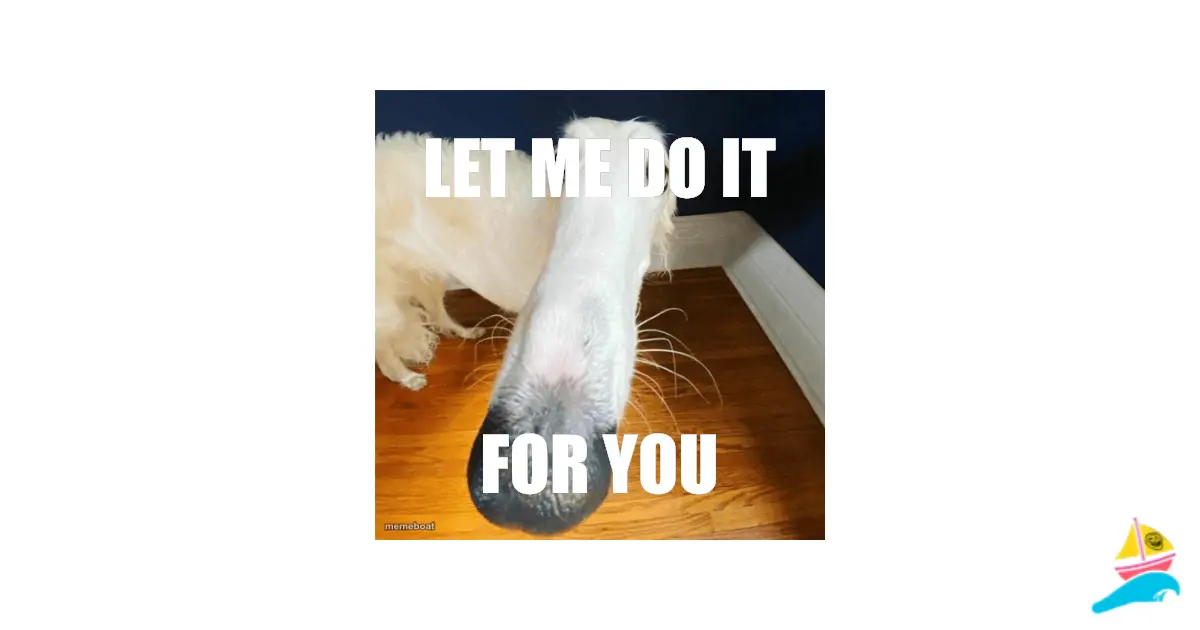 LET ME DO IT