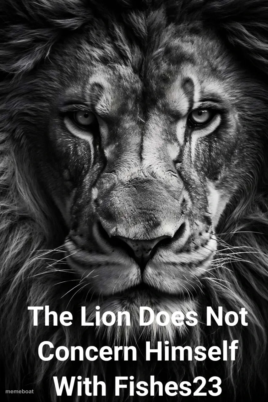 The Lion Does Not Concern Himself With Fishes23