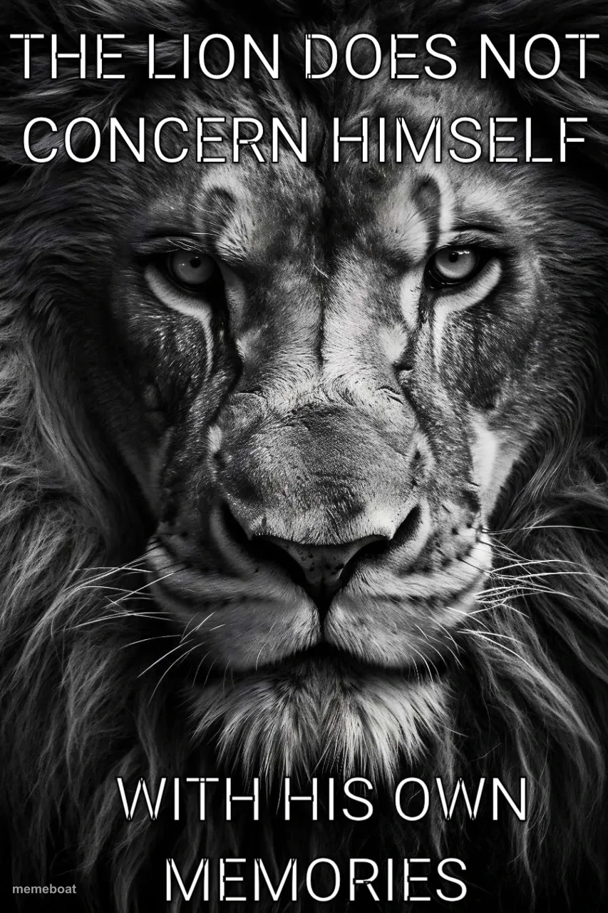 The lion does not concern himself