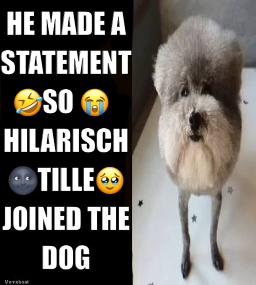 He made a statement 🤣so 😭 HILARISCH 🌚tille🥹 joined the dog