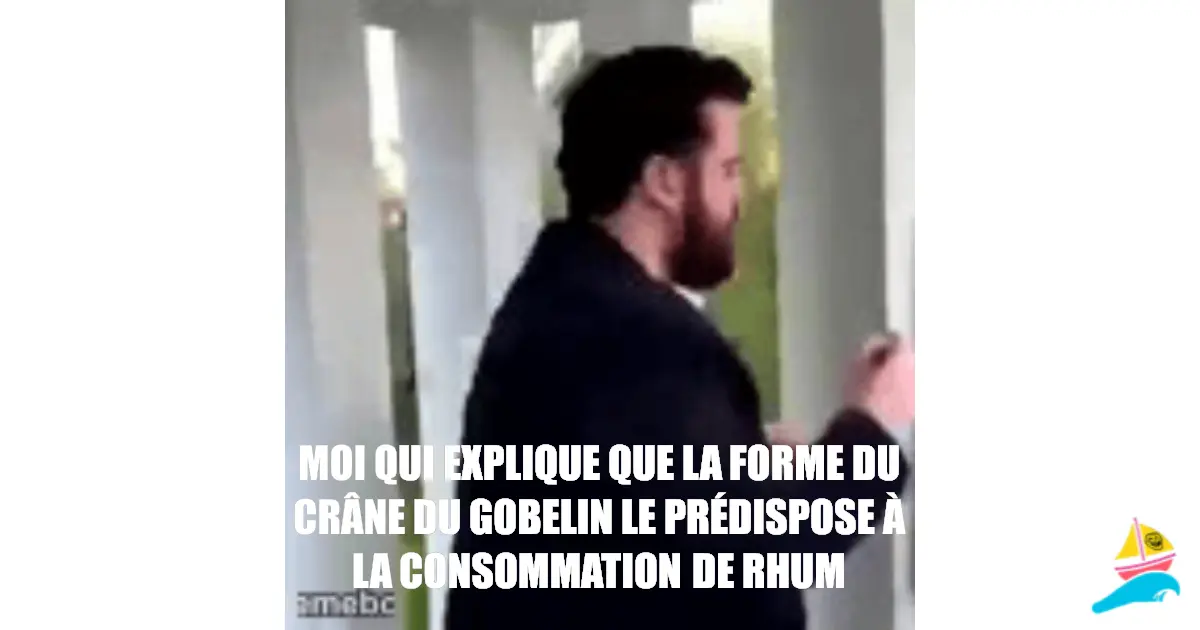 Moi qui explique que la forme du crâne du gobelin le prédis…