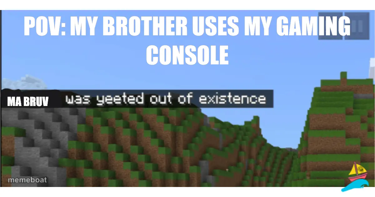 pov: my brother uses my gaming console