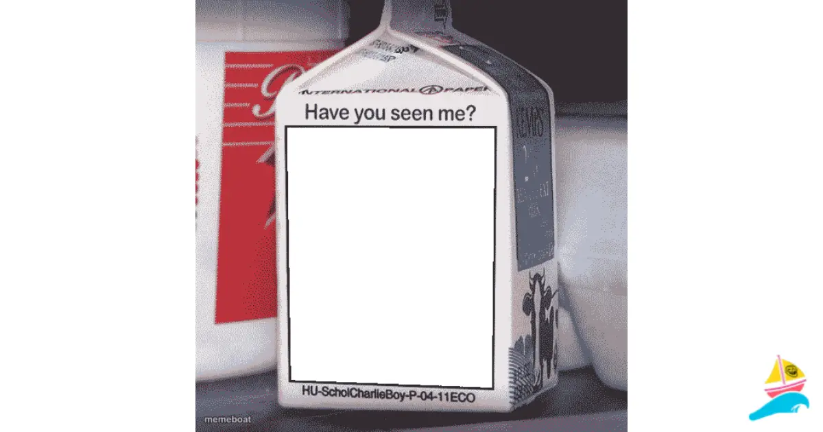 Missing Person meme