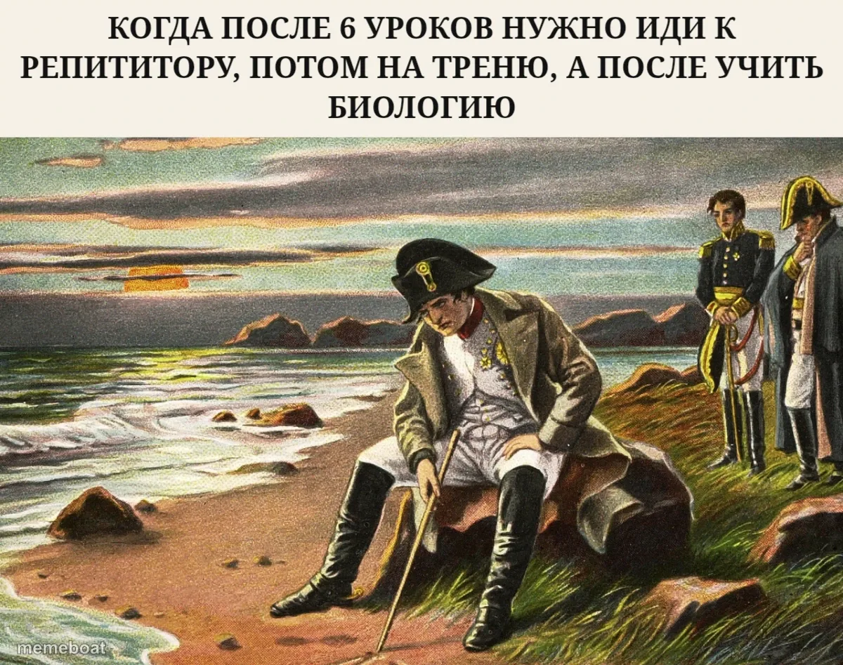 Napoleon Bonaparte Reflecting meme created by the community