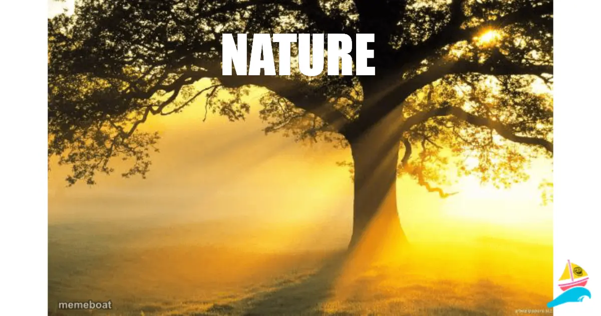 nature