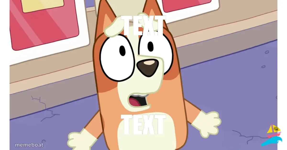 TEXT