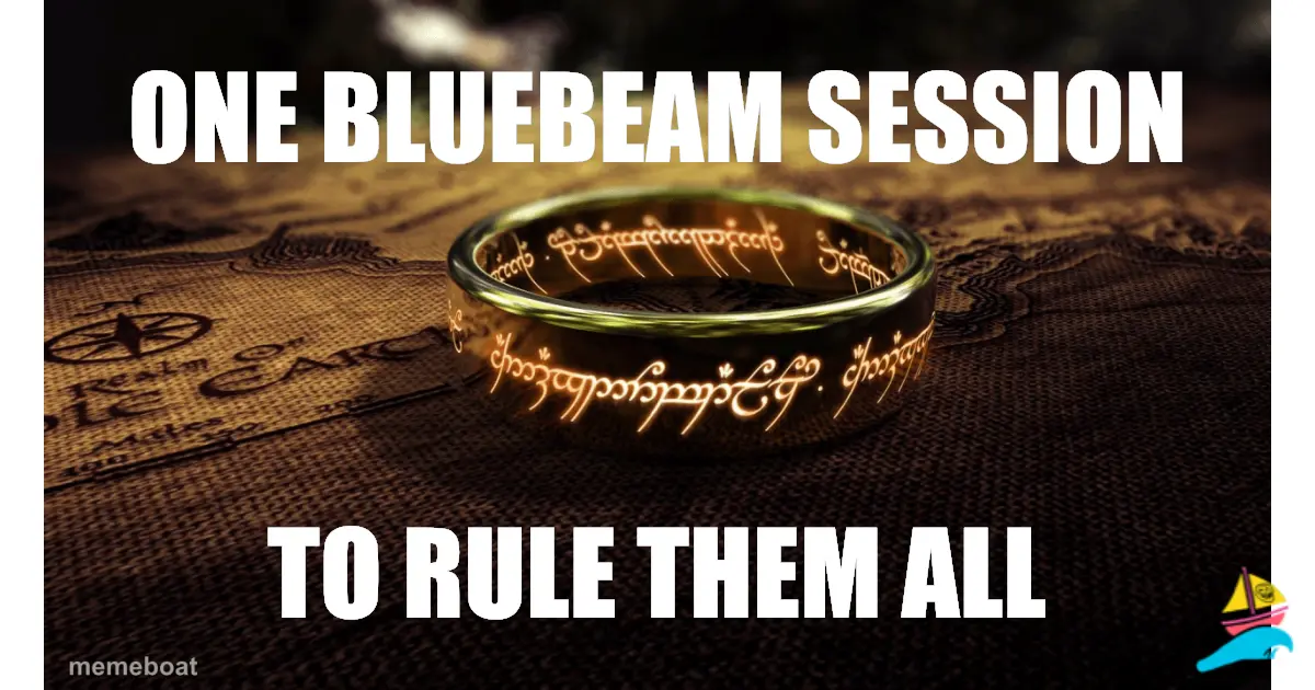 one bluebeam session