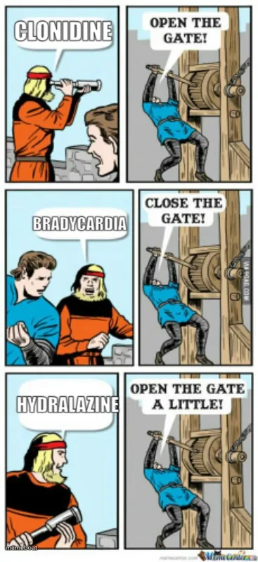 Open the gate a little meme created by the community
