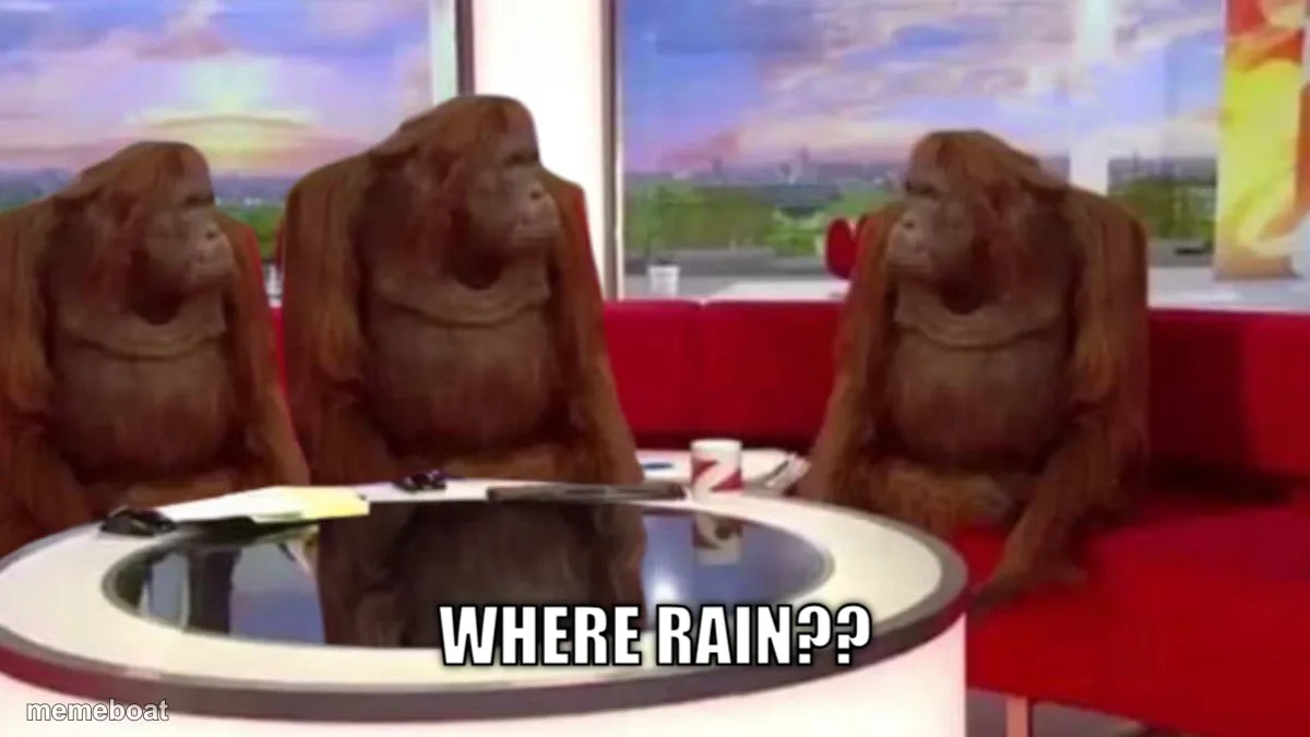 Orangutan News Panel meme created by the community