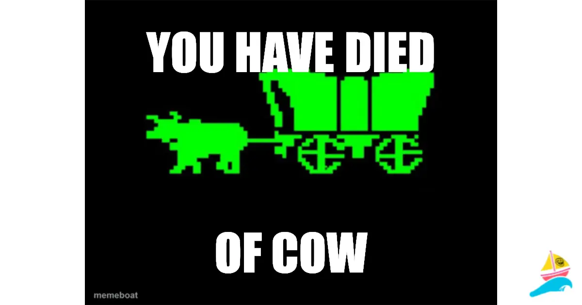 You have died