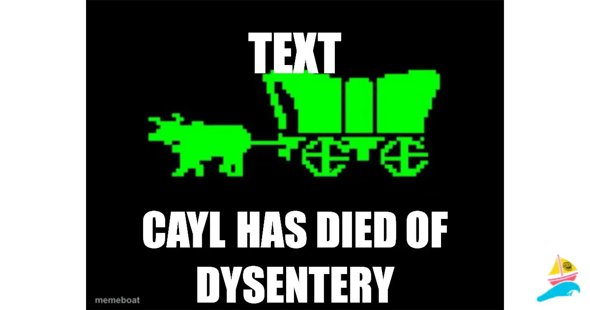 TEXT