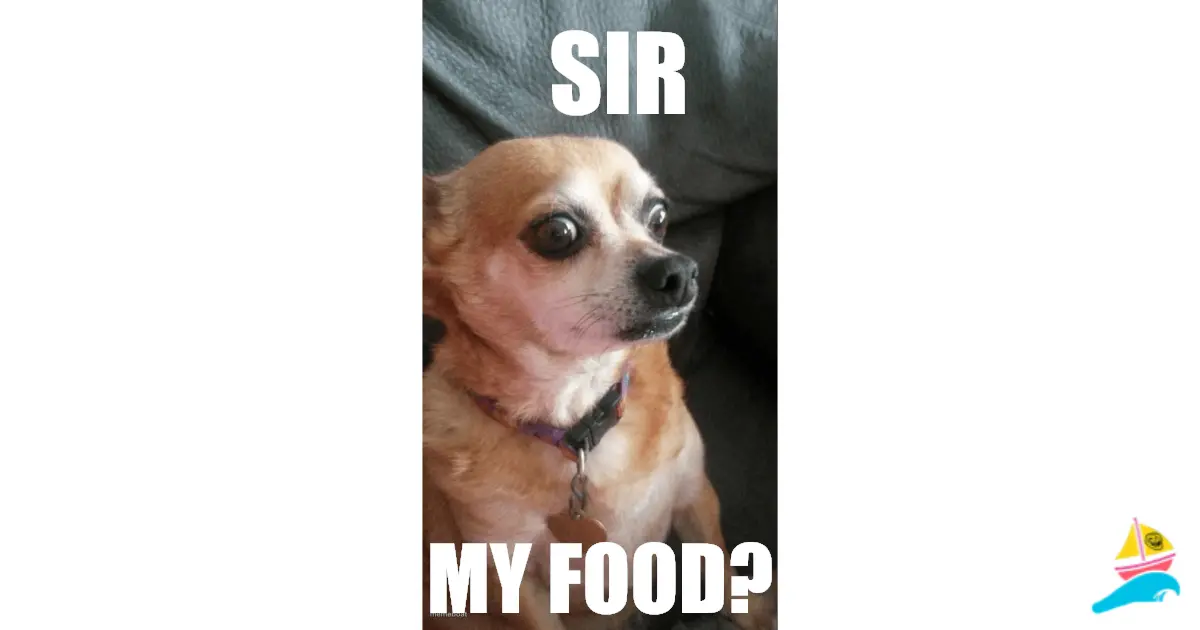 sir