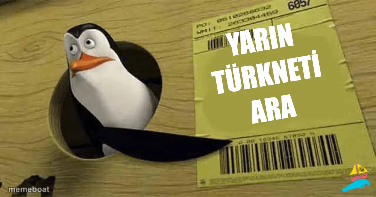 YARIN TÜRKNETİ ARA