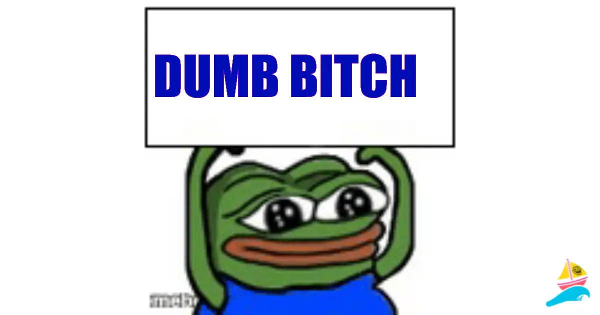 Dumb Bitch