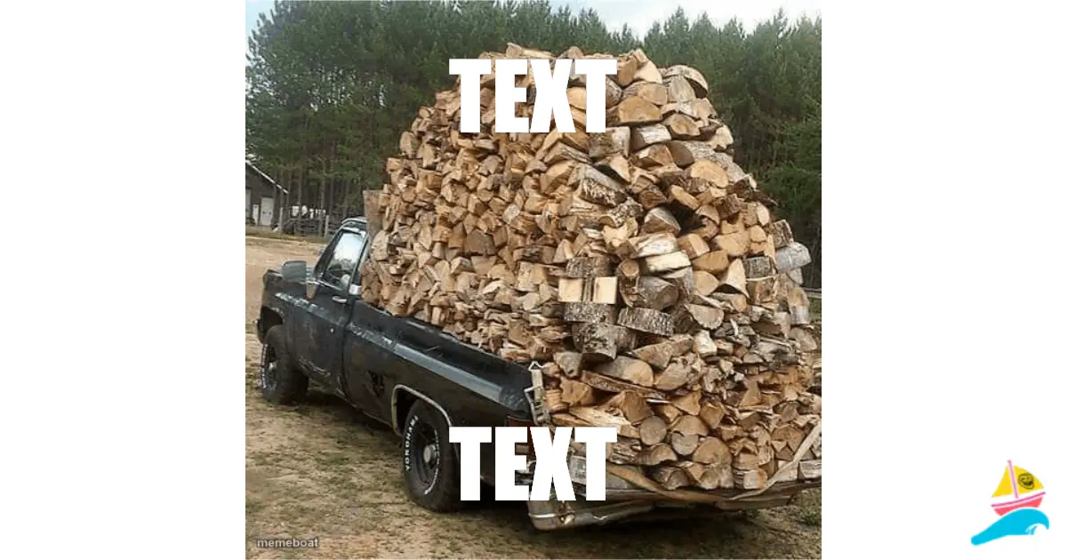 TEXT