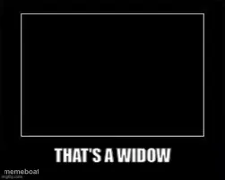 Plain Black Box meme created by the community